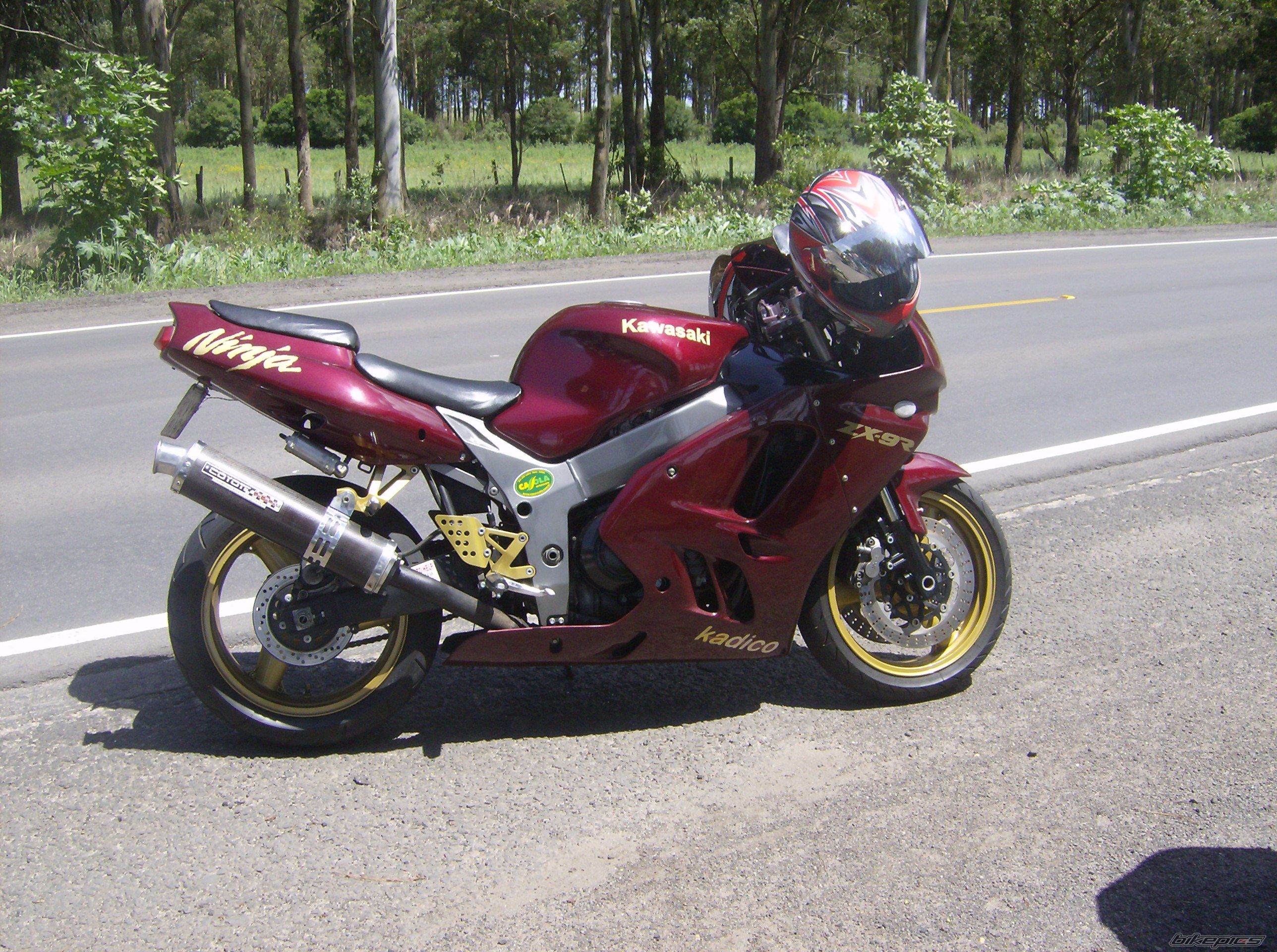 Photo 1232630
