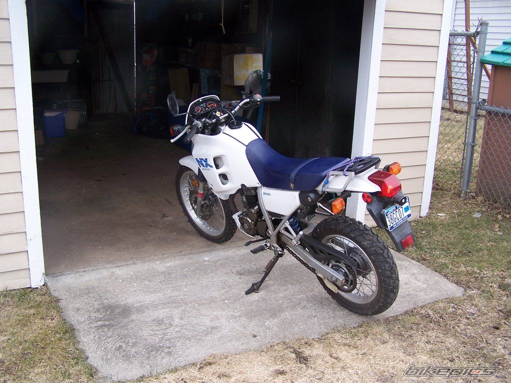 Photo 1232647