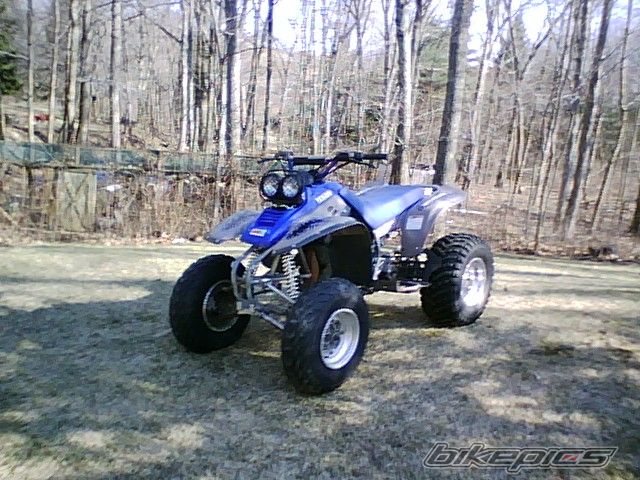 Photo 1232650