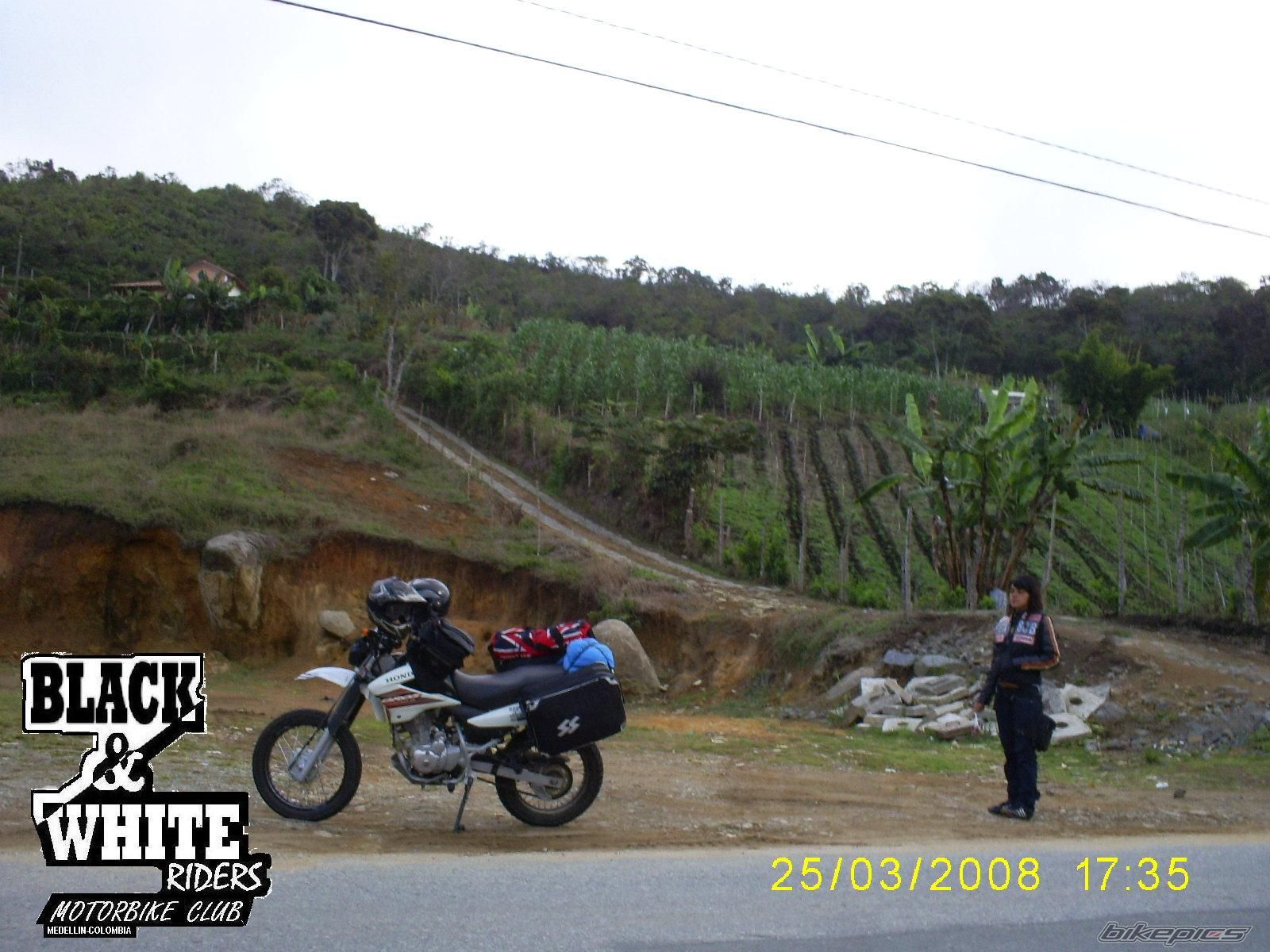 Bike Photo 1232733