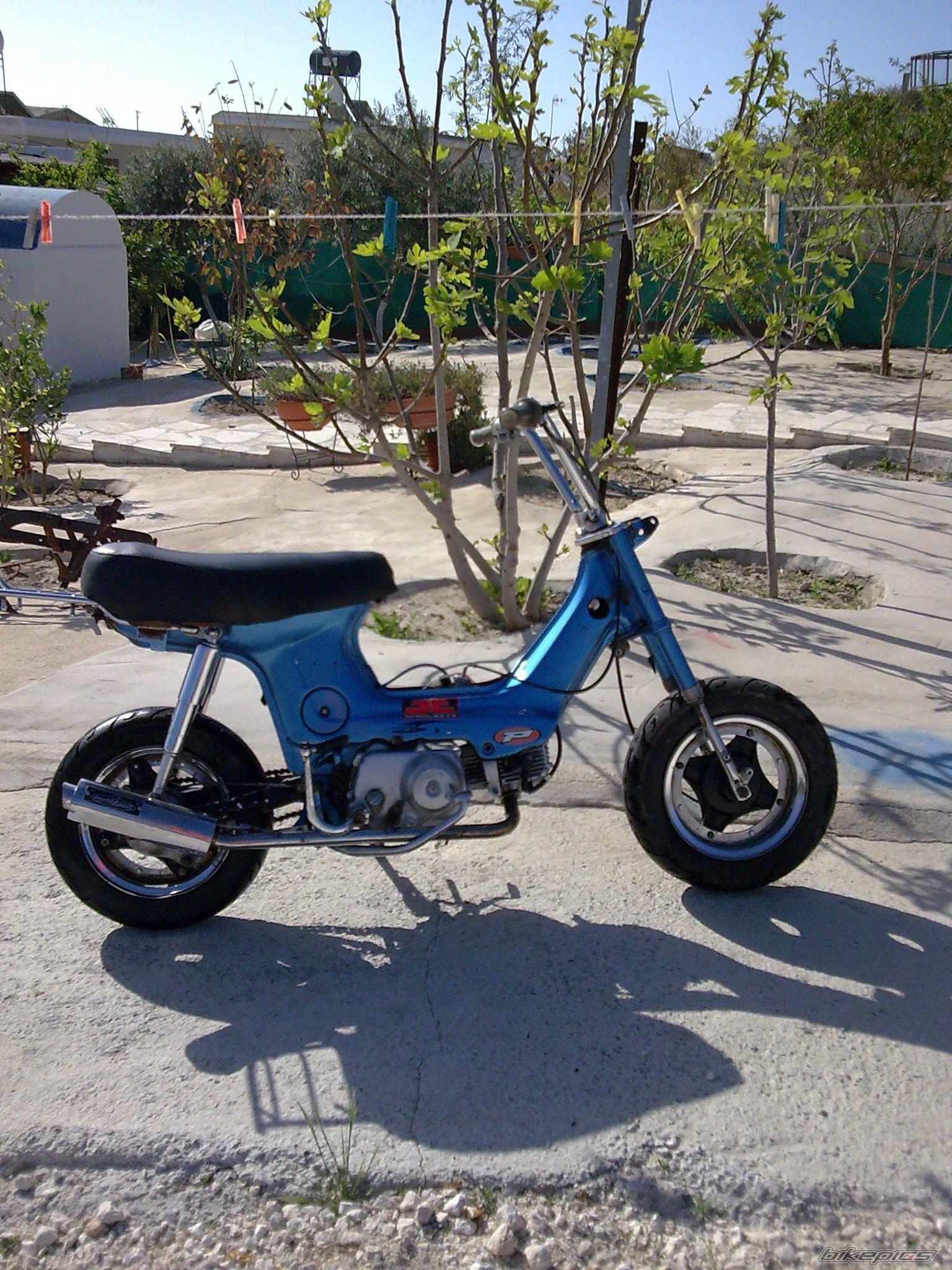 Photo 1232734