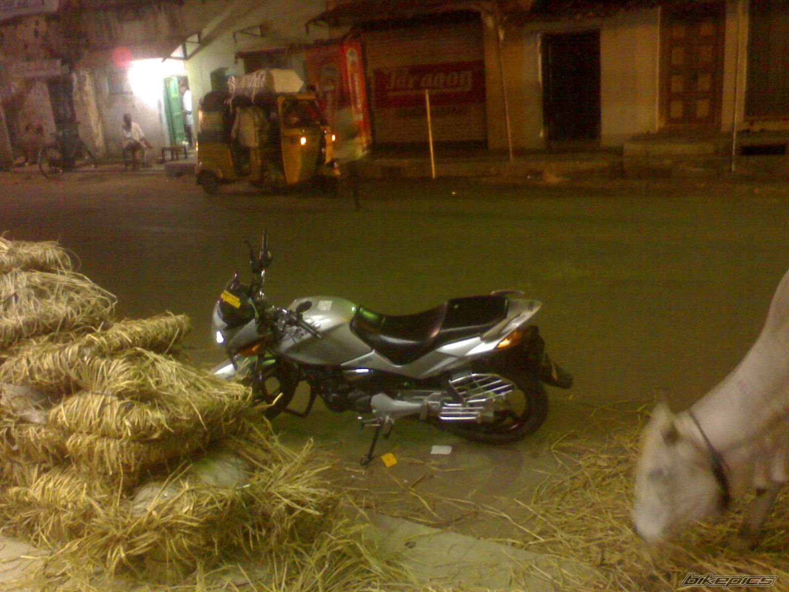 Photo 1232757