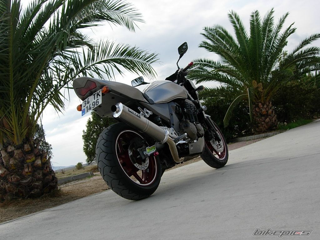 Photo 1232768