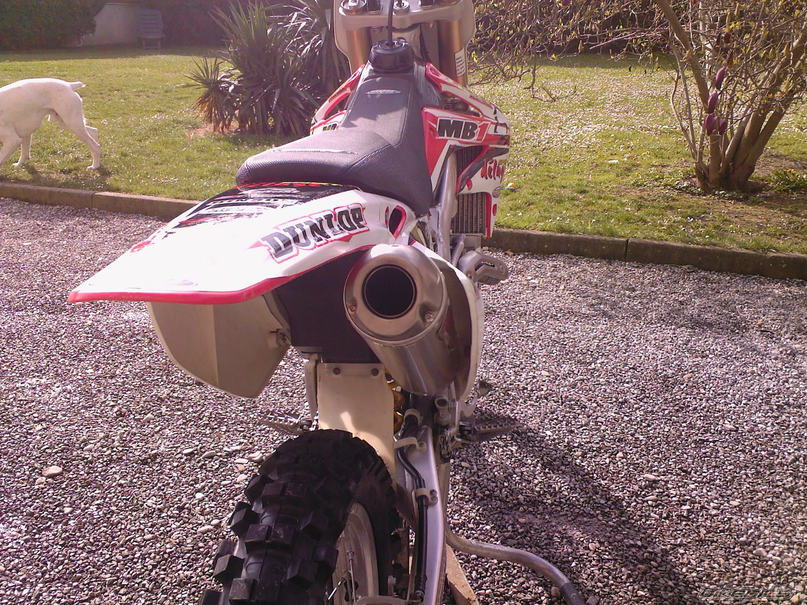 Photo 1232781