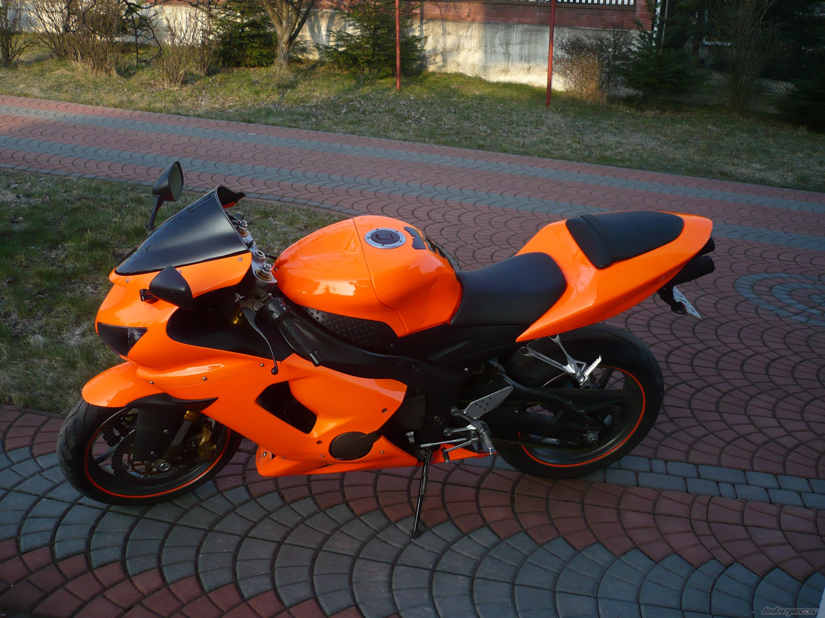 Photo 1232830
