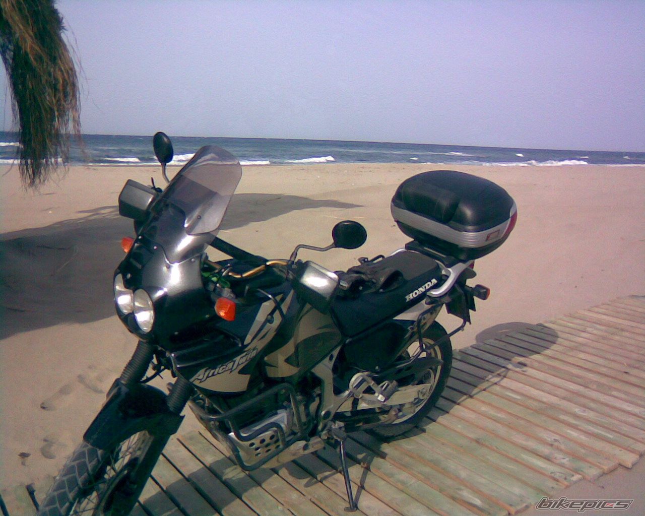 Photo 1232852