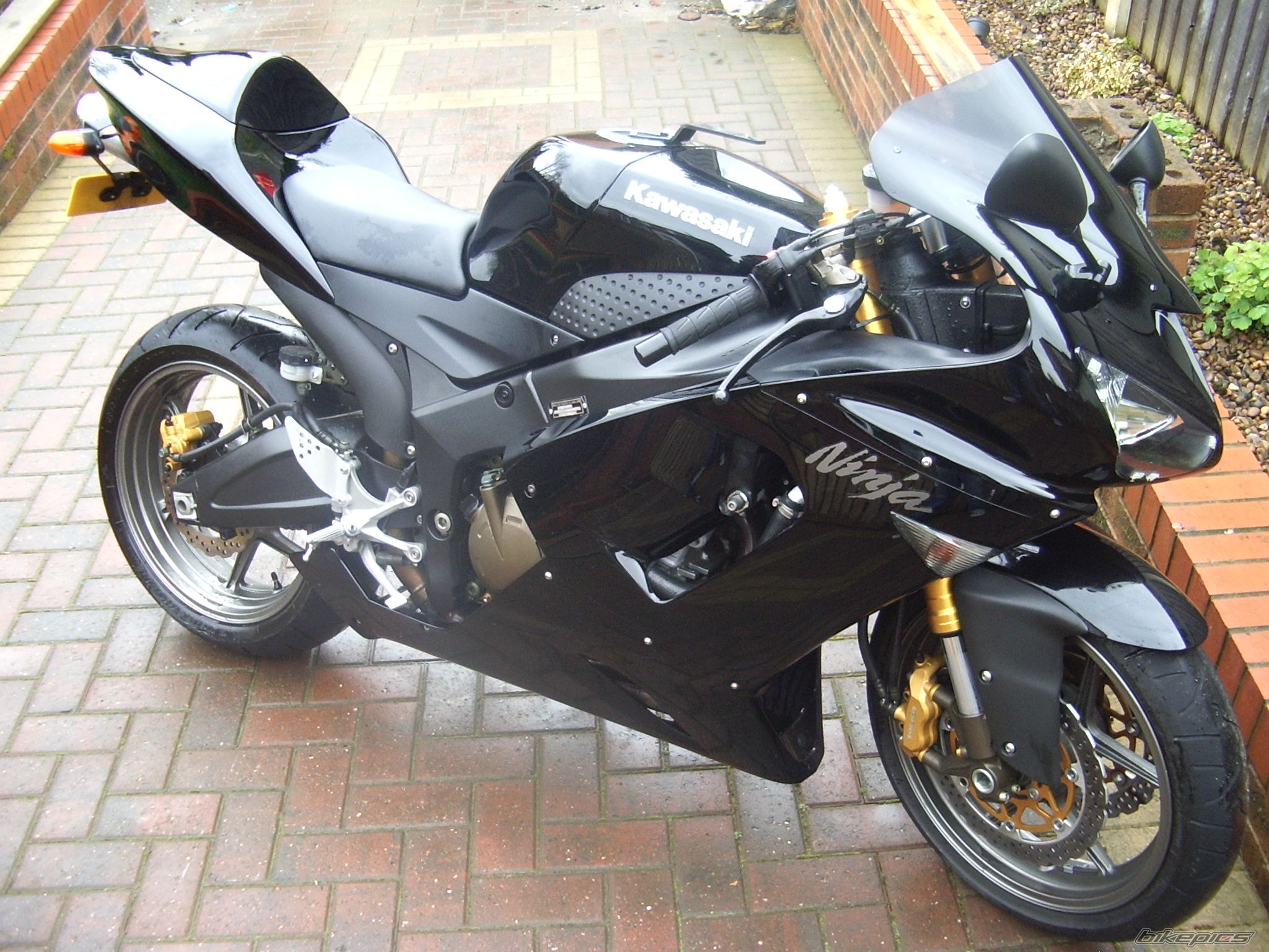 Photo 1232931