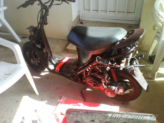 Photo 1232933