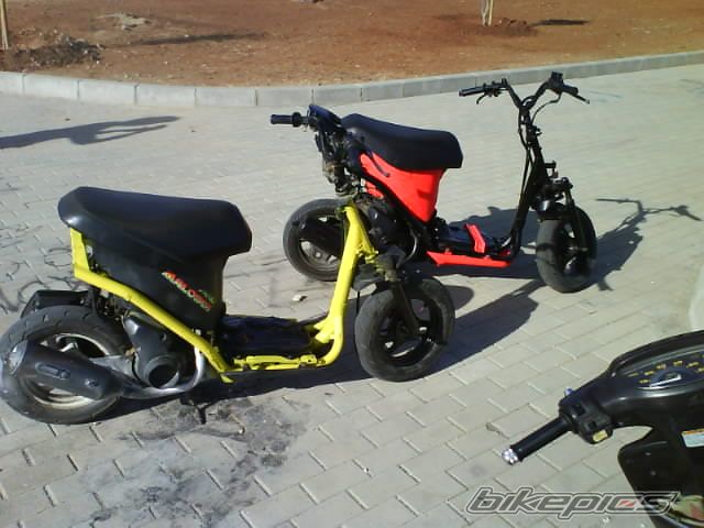 Photo 1232938