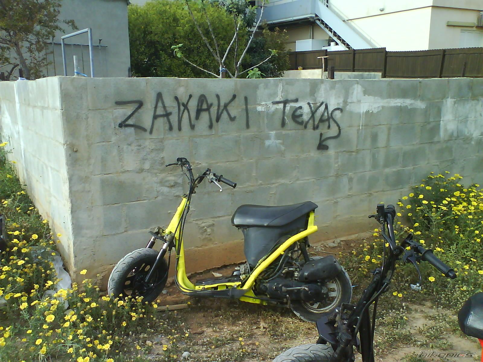 Photo 1232942