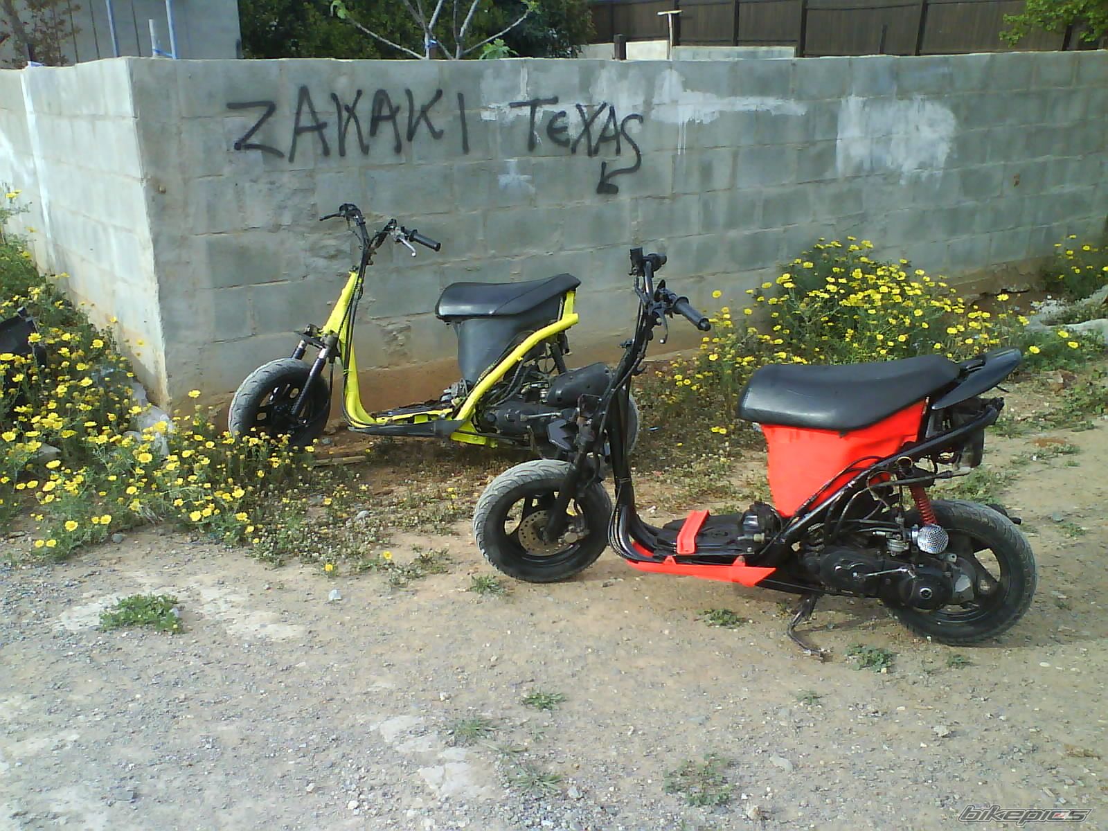 Photo 1232944