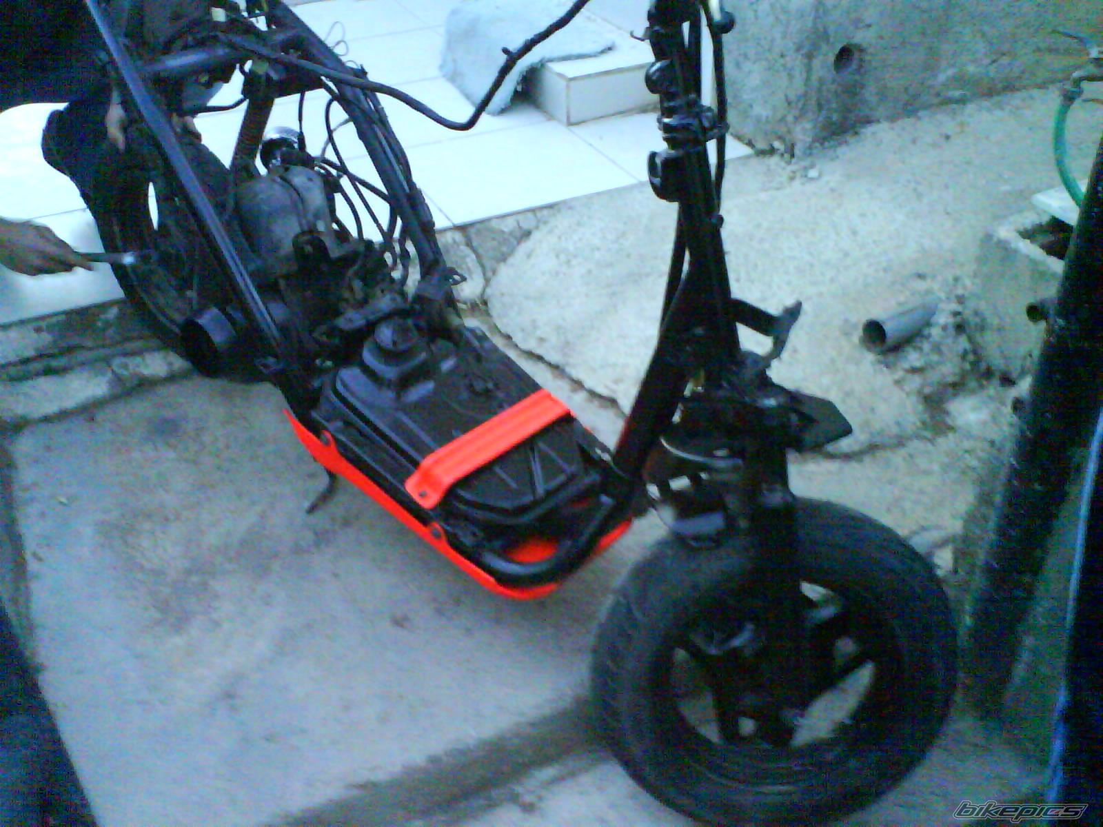 Photo 1232947