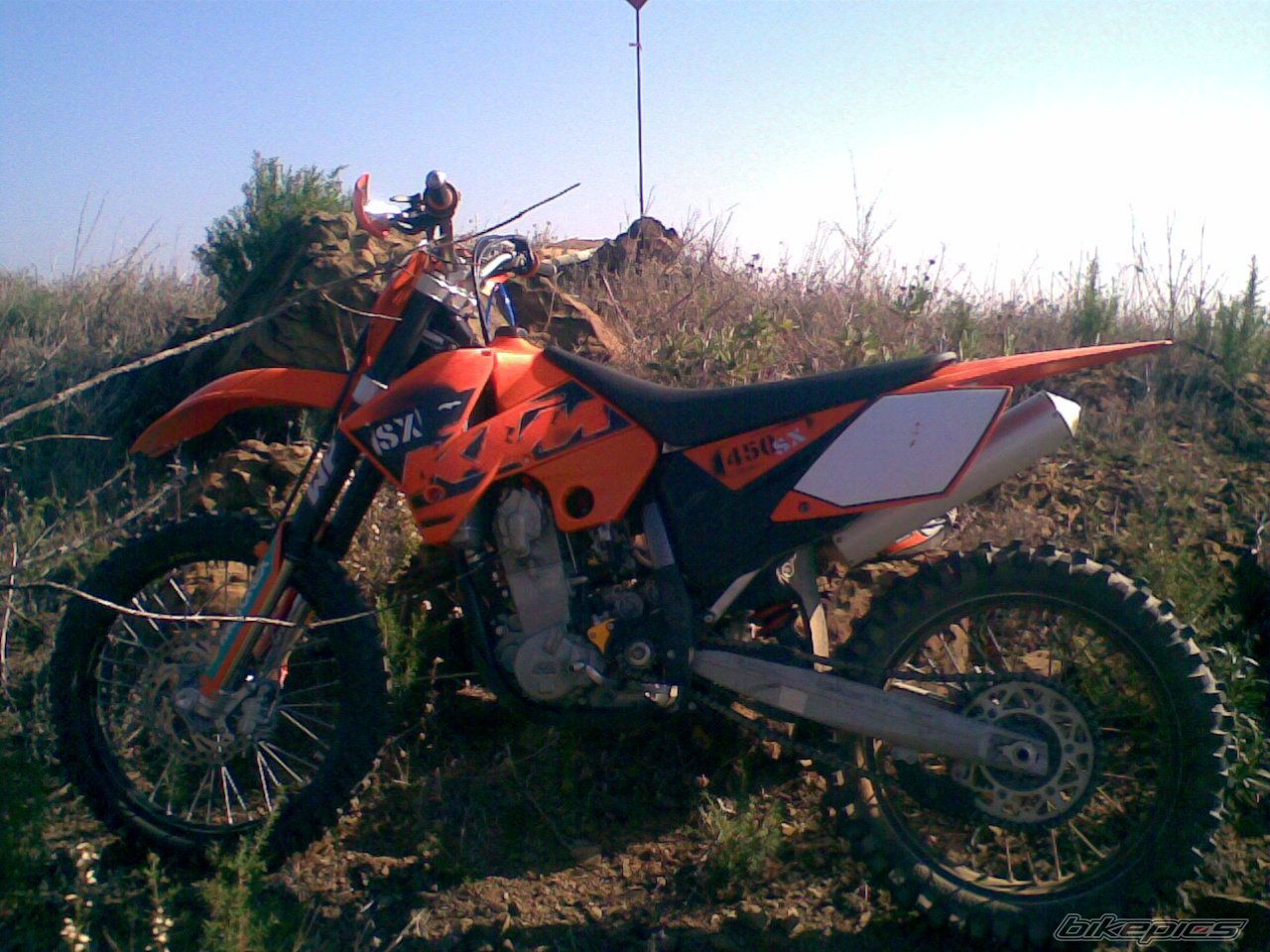 Photo 1233048