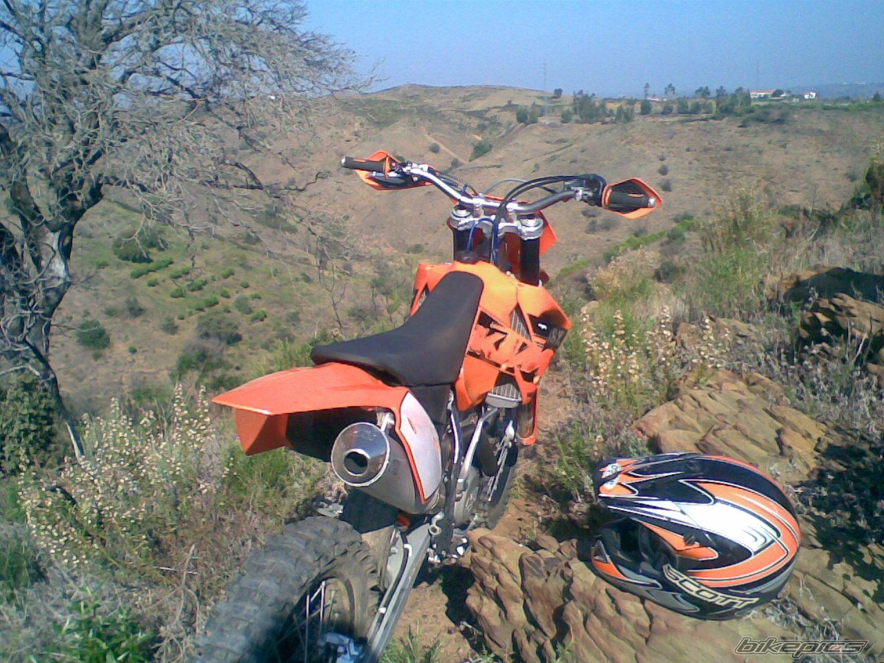 Photo 1233049
