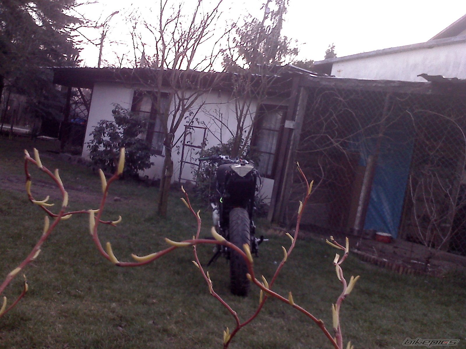 Photo 1233148