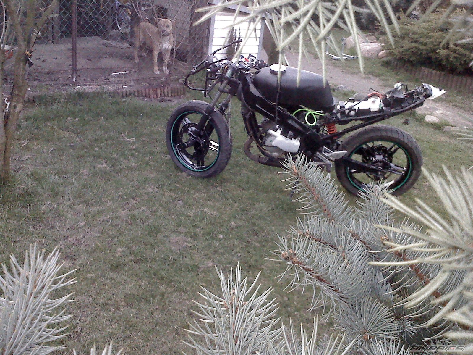 Photo 1233151