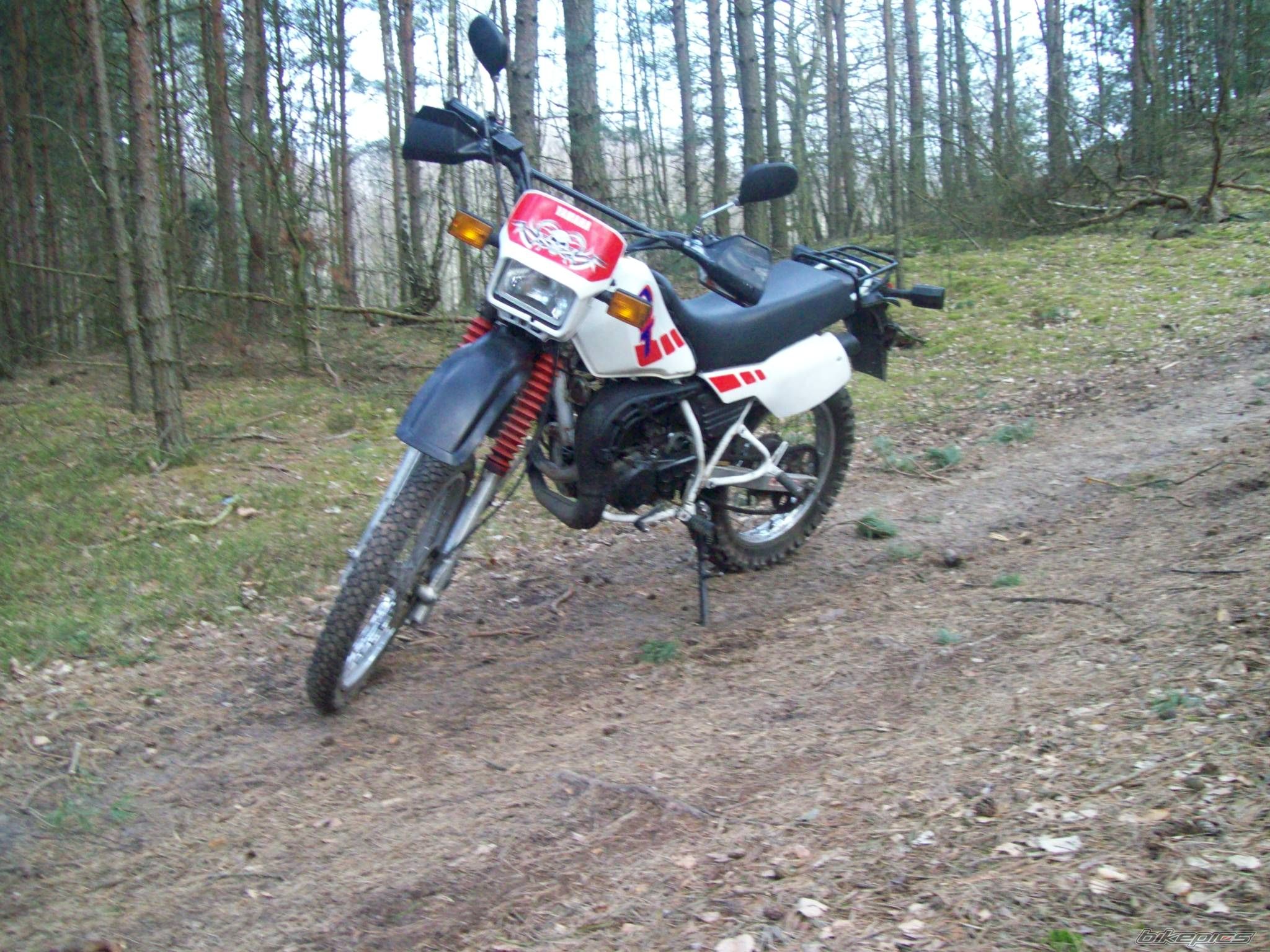 Photo 1233153