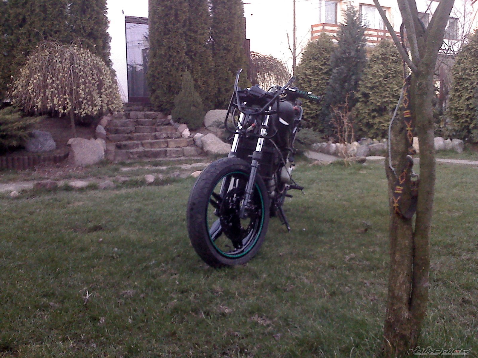 Photo 1233155