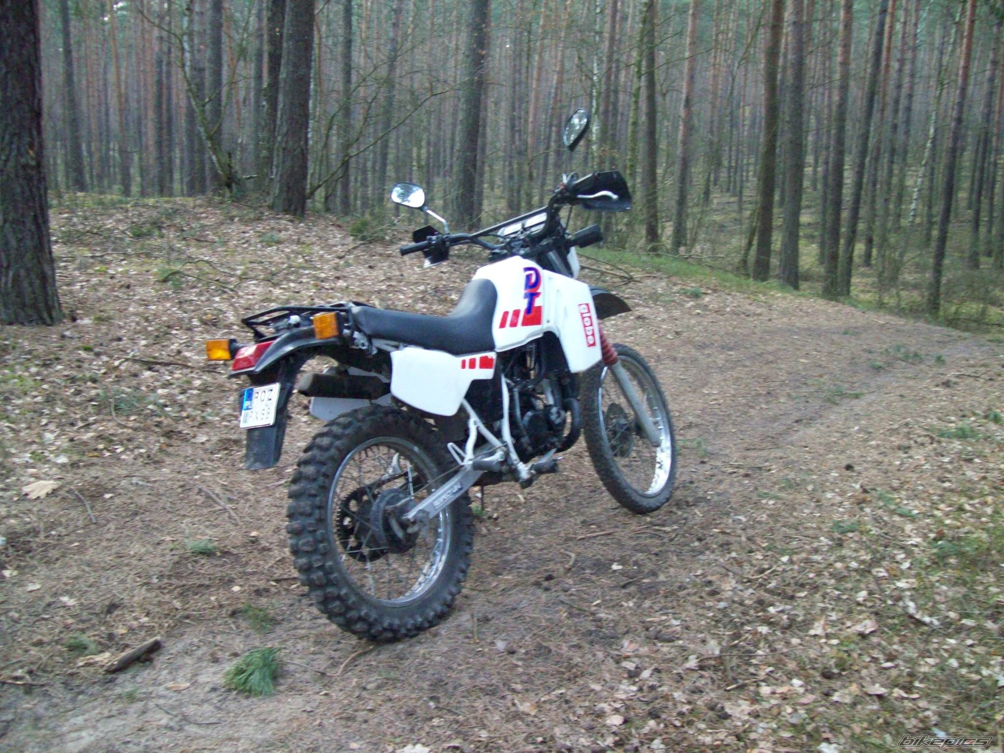 Photo 1233158