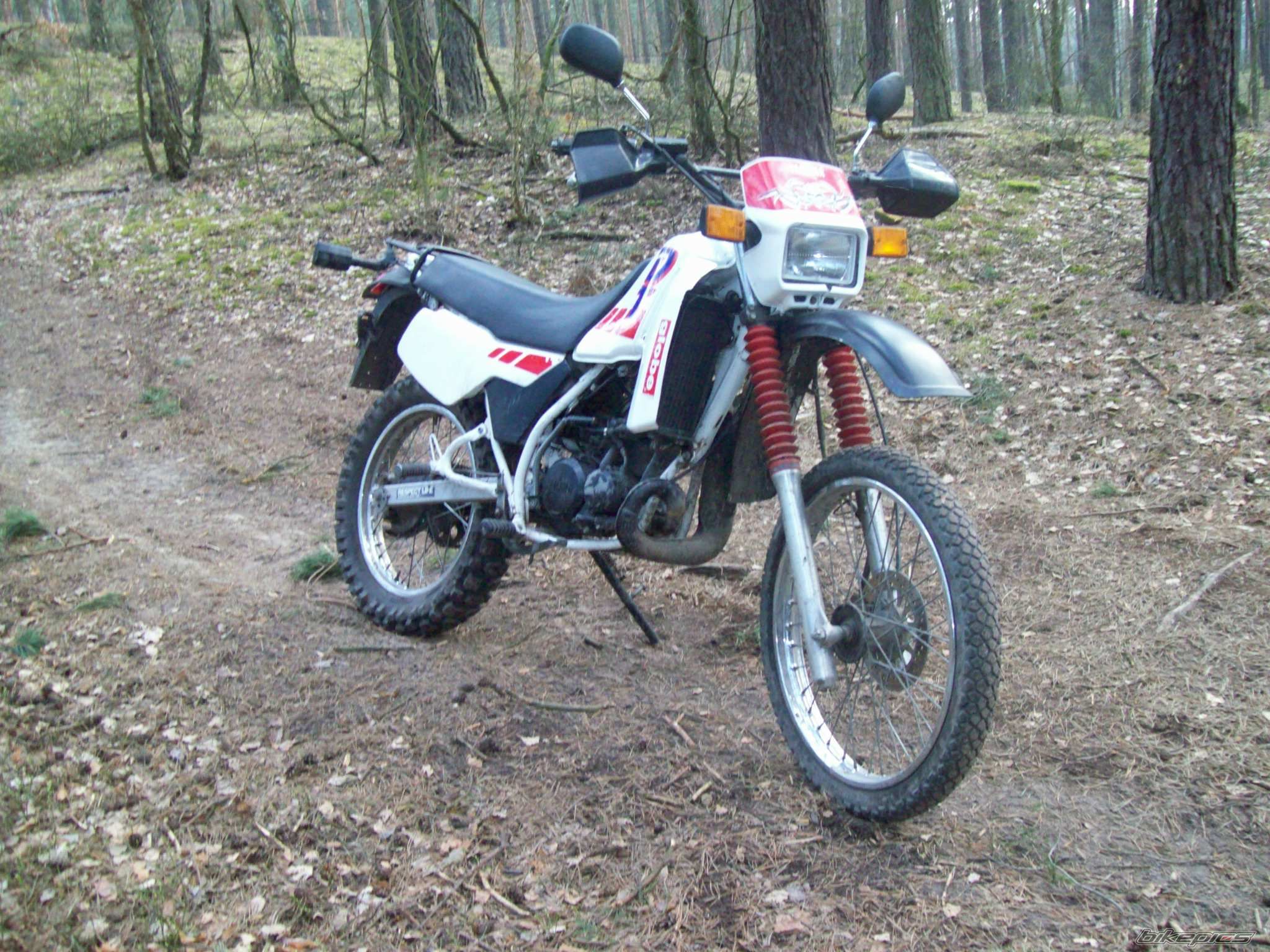 Photo 1233159