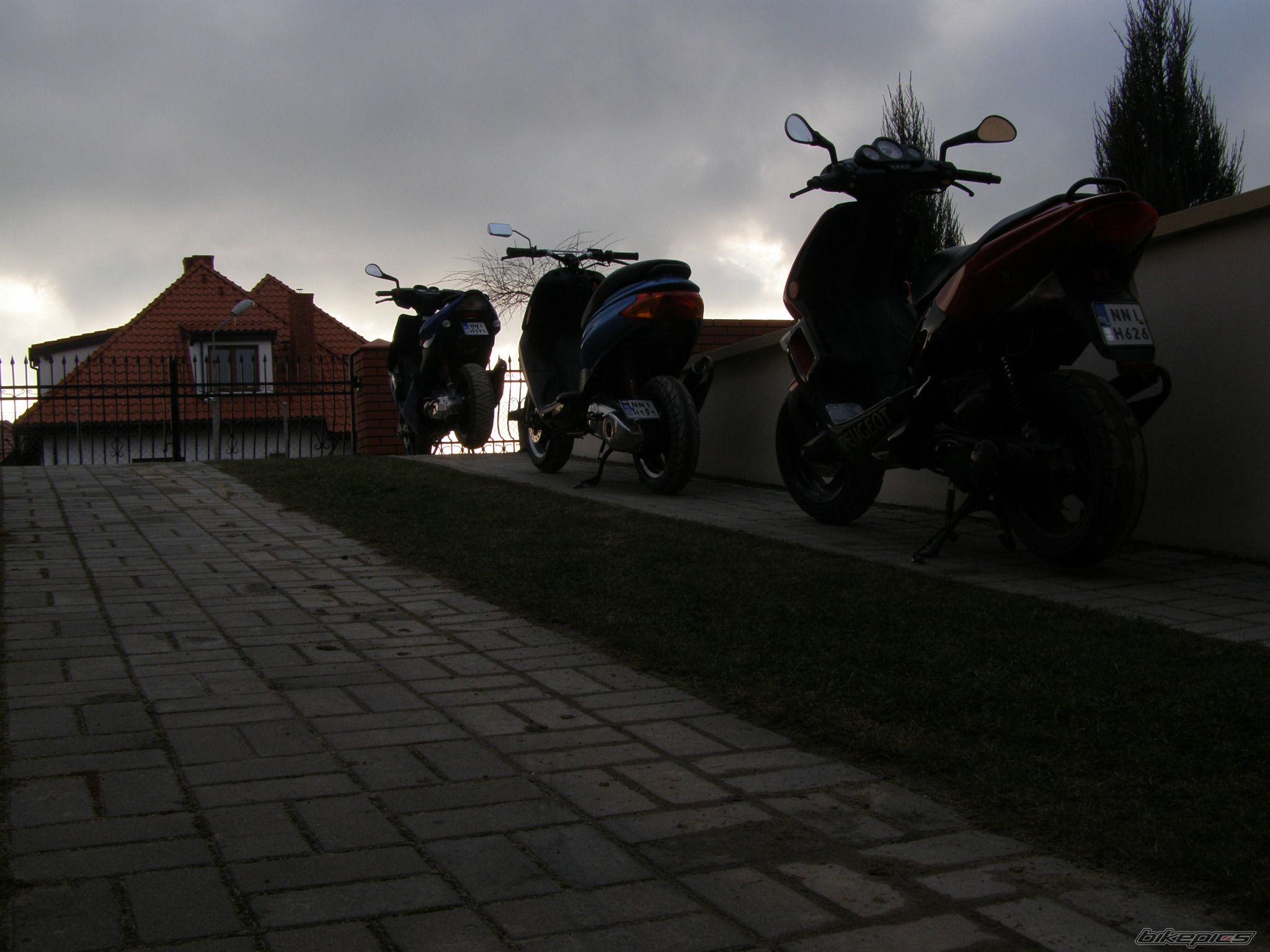 Photo 1233193
