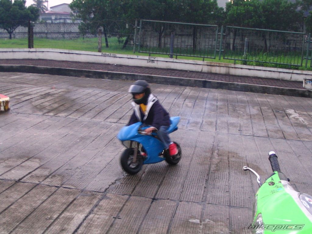 Photo 1233195