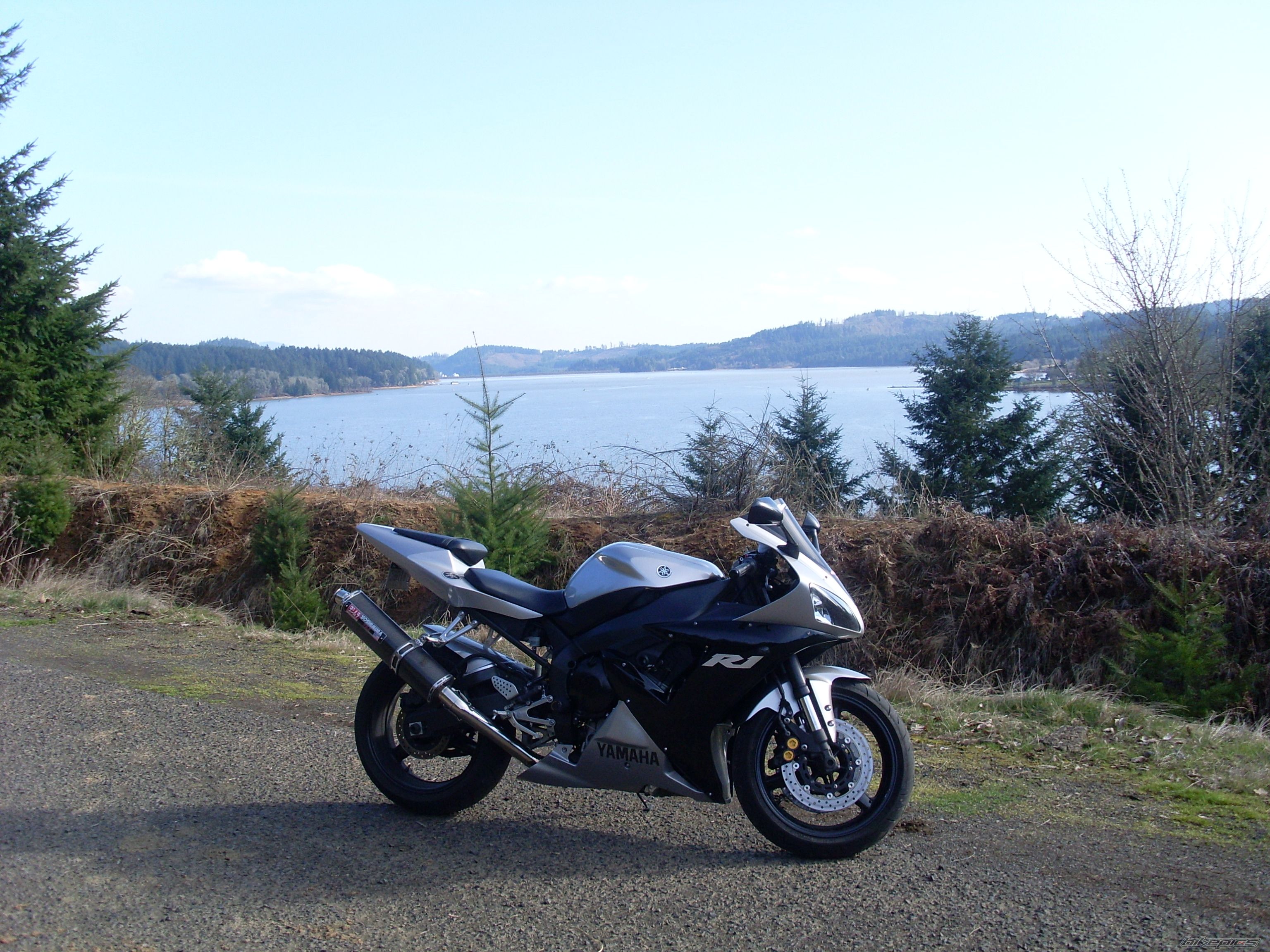 Photo 1233197