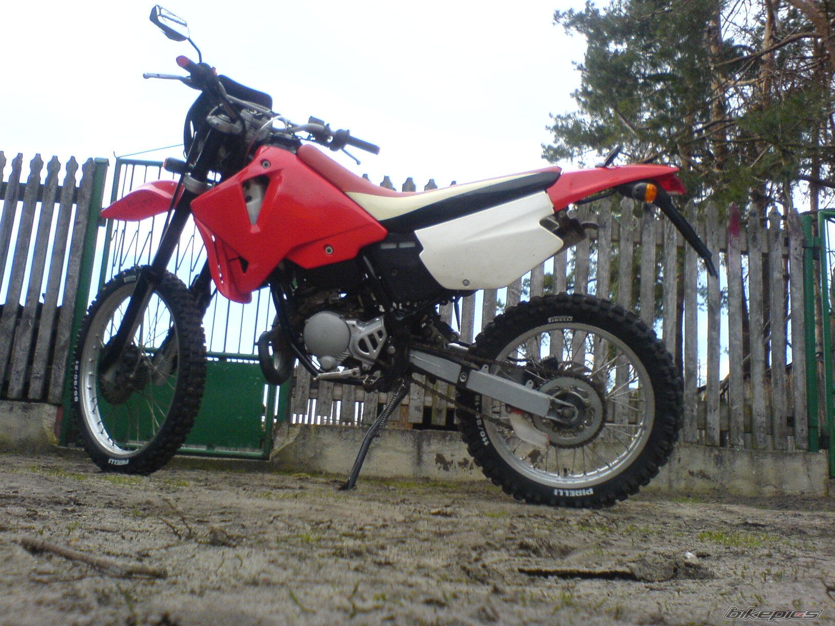 Photo 1233249