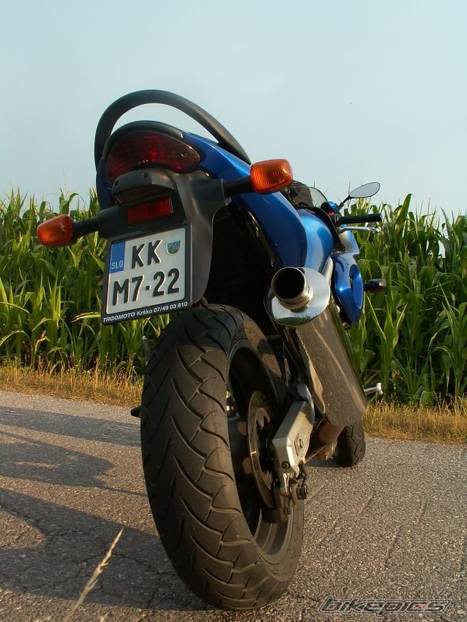 Photo 1233279