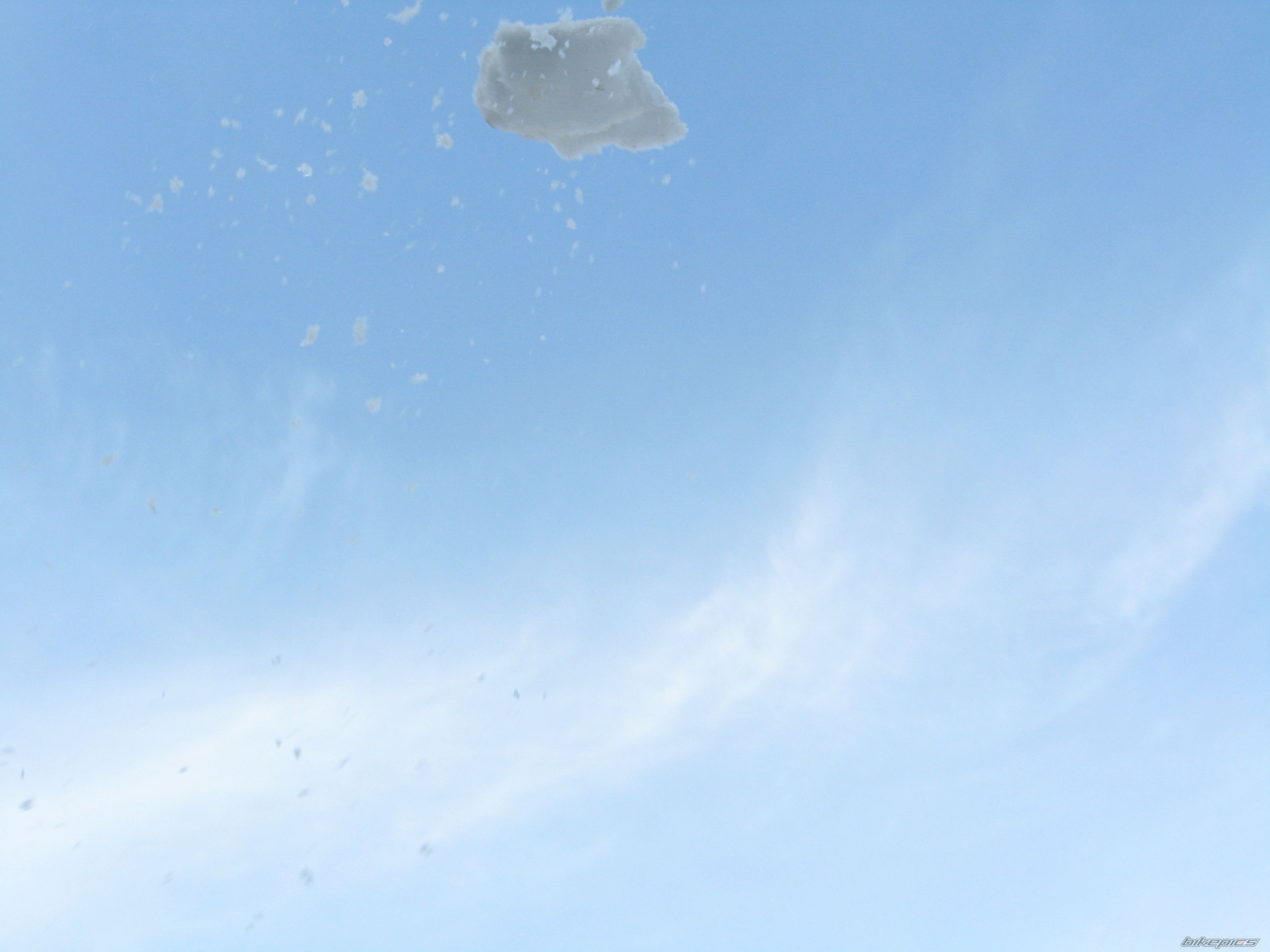 Photo 1233318