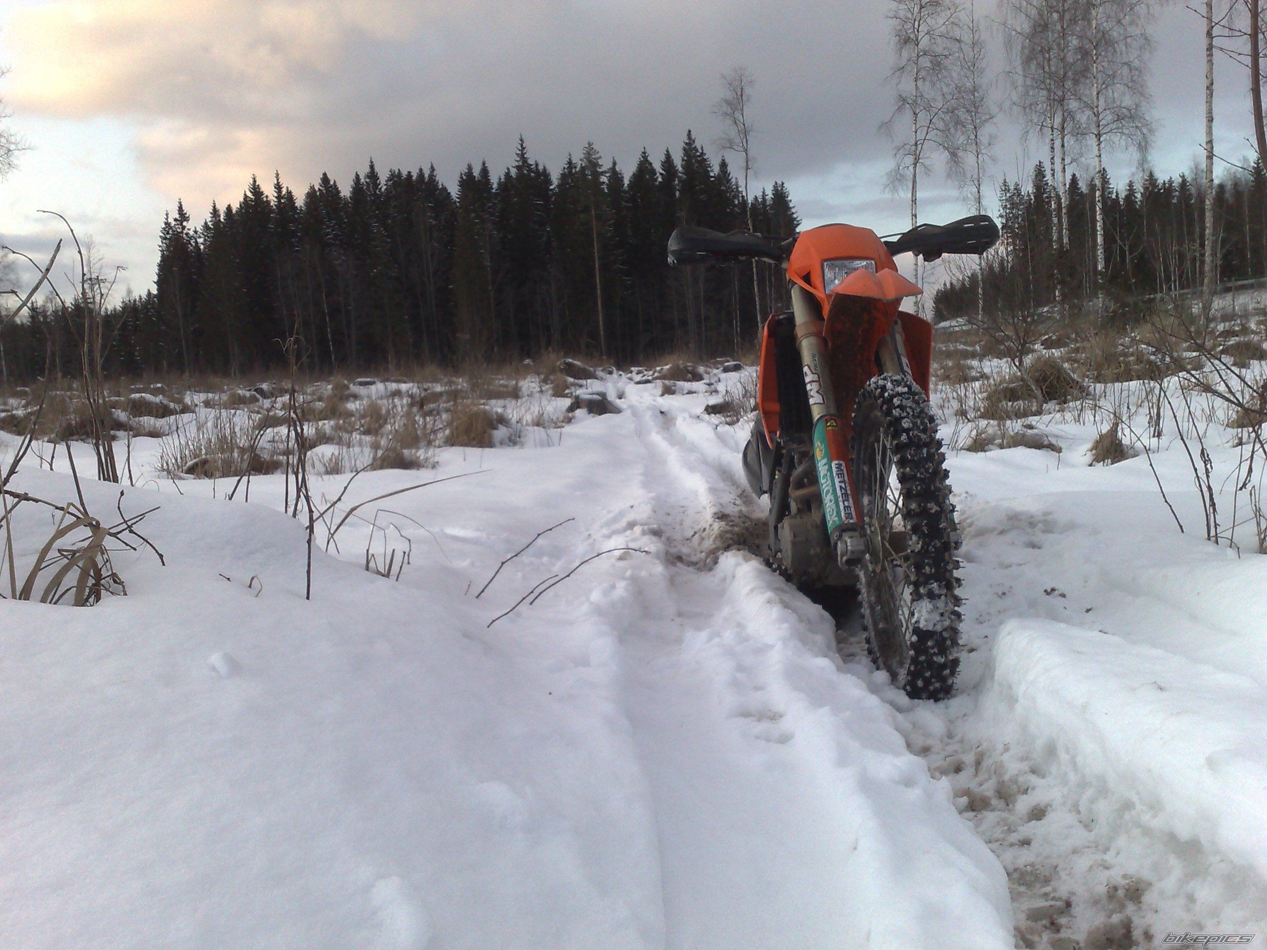 Photo 1233352