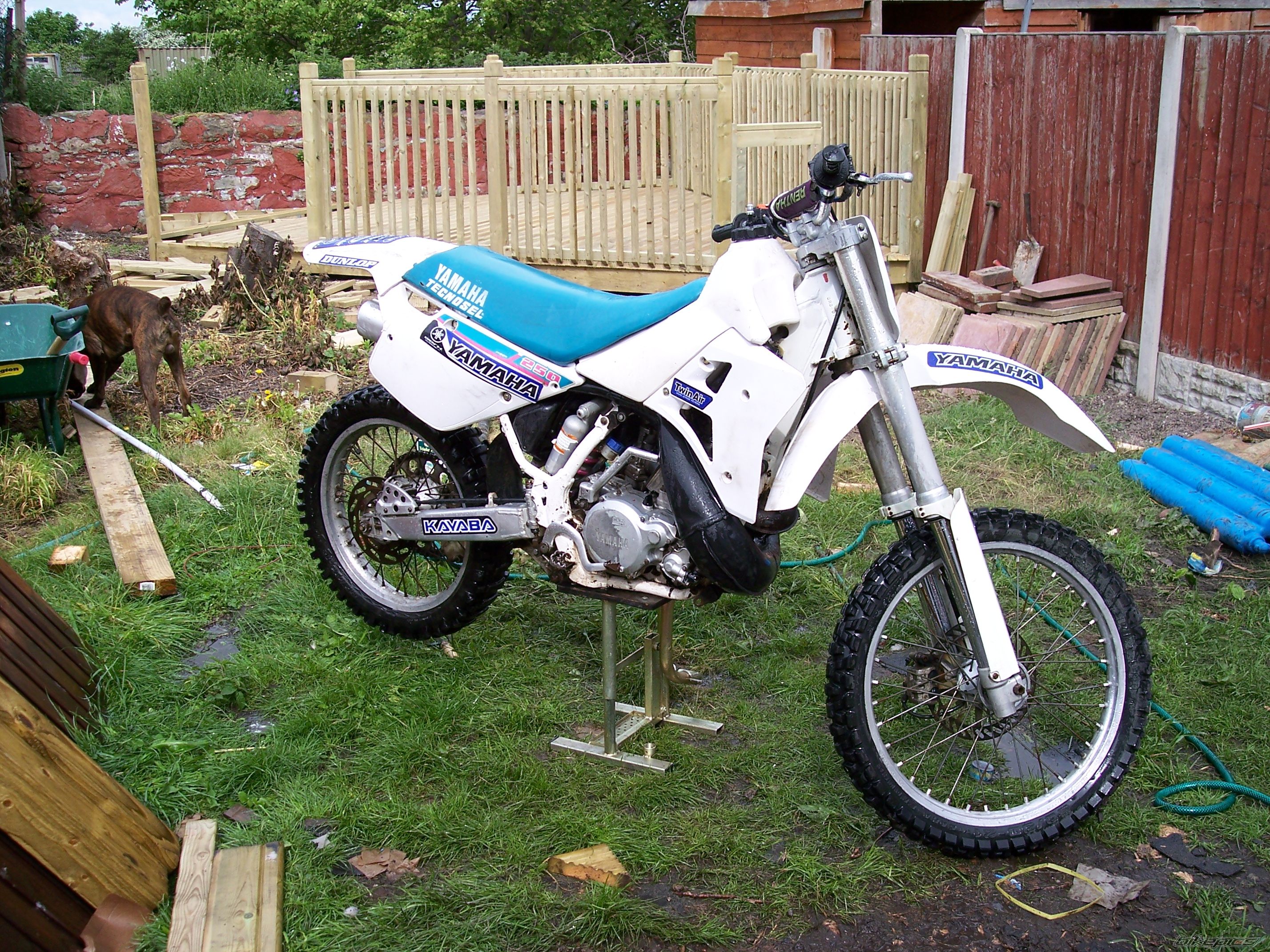 Bike Photo 1233439