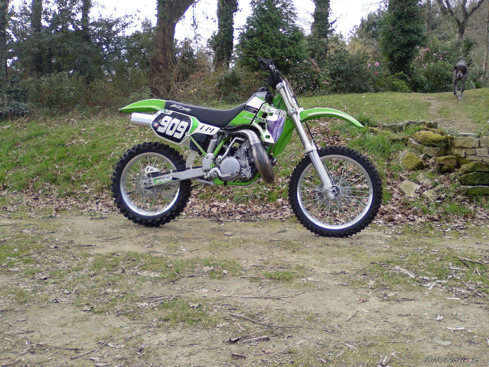 Bike Photo 1233510