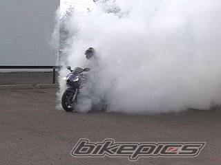 Photo 12336