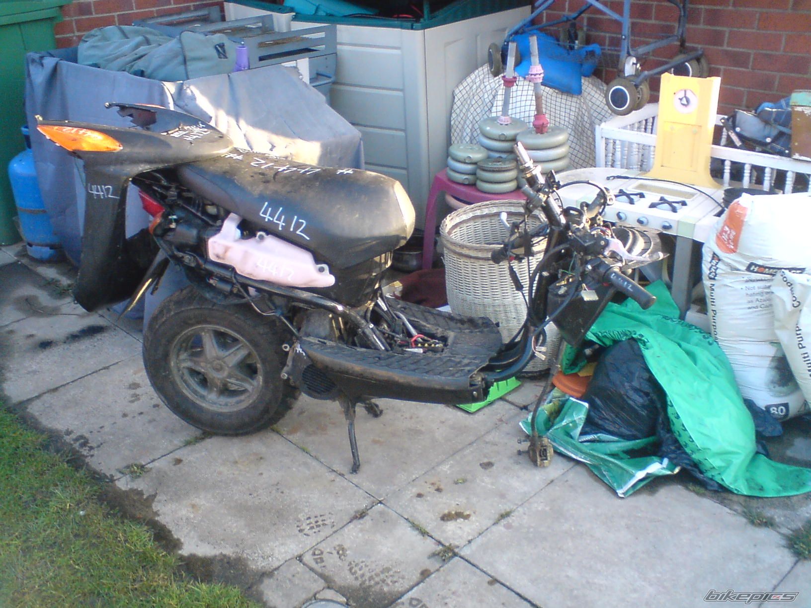 Photo 1233659