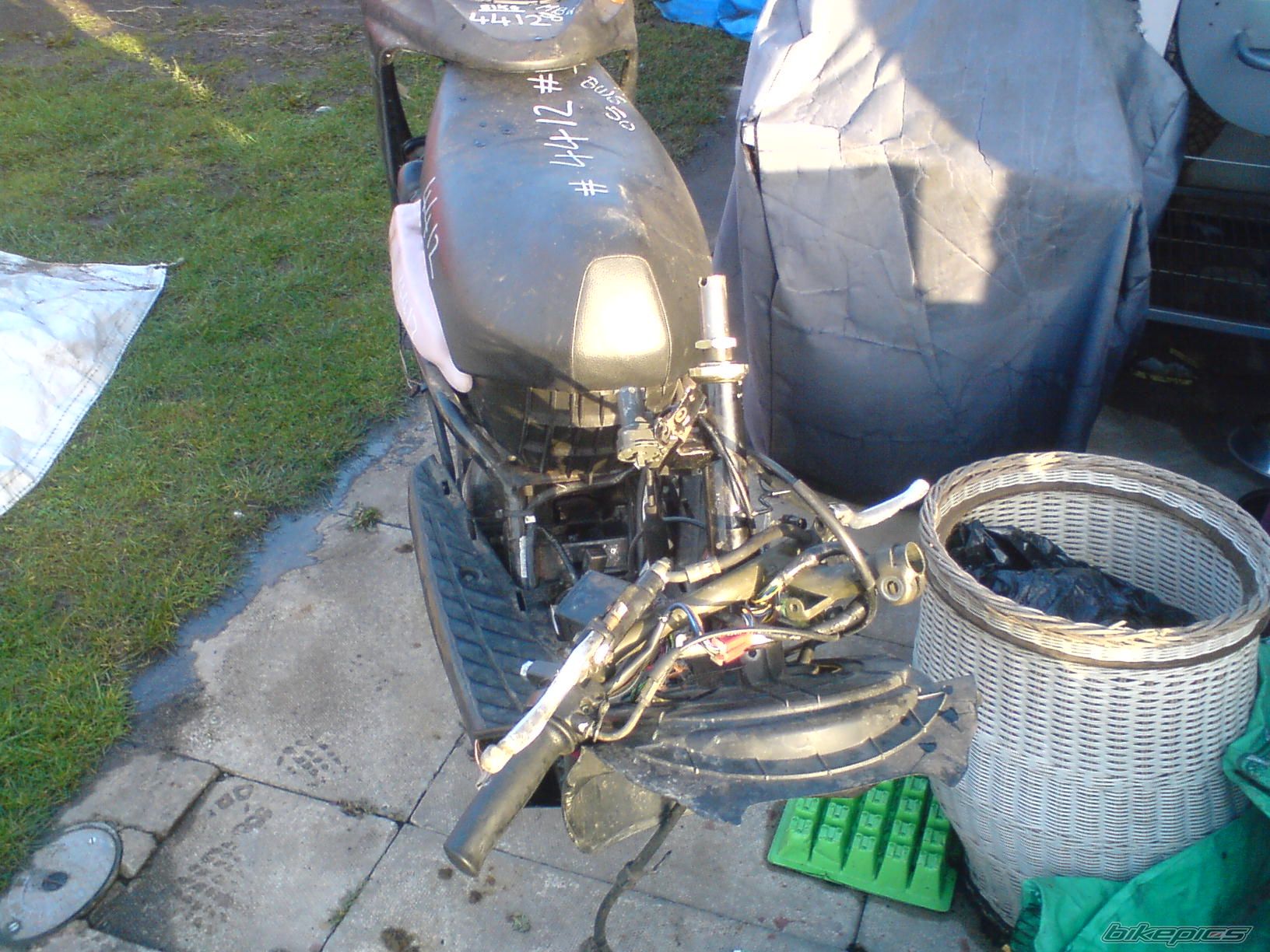 Photo 1233660