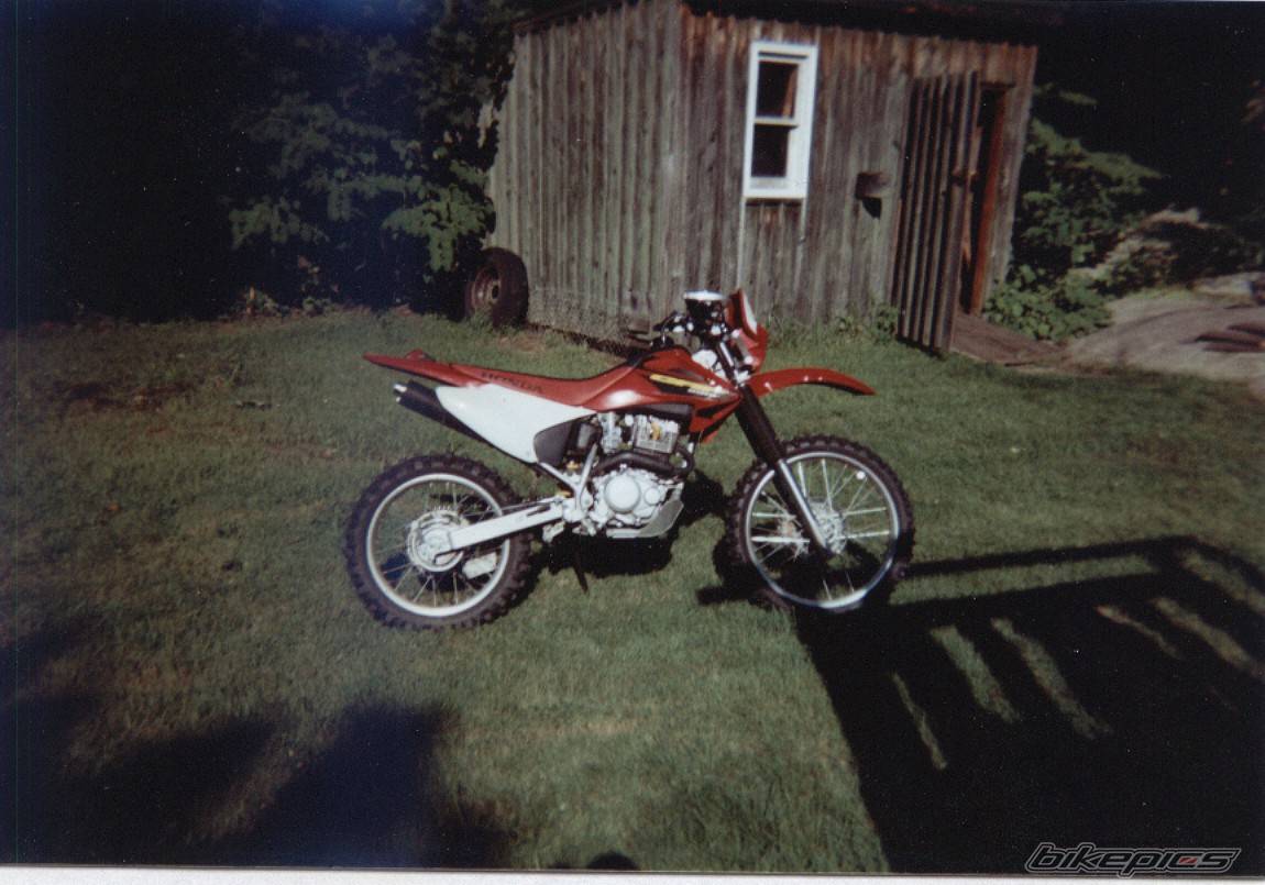 Photo 123375