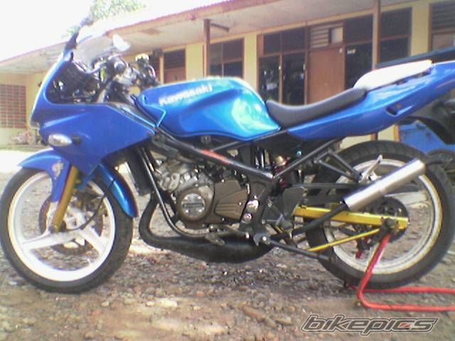 Photo 1233758