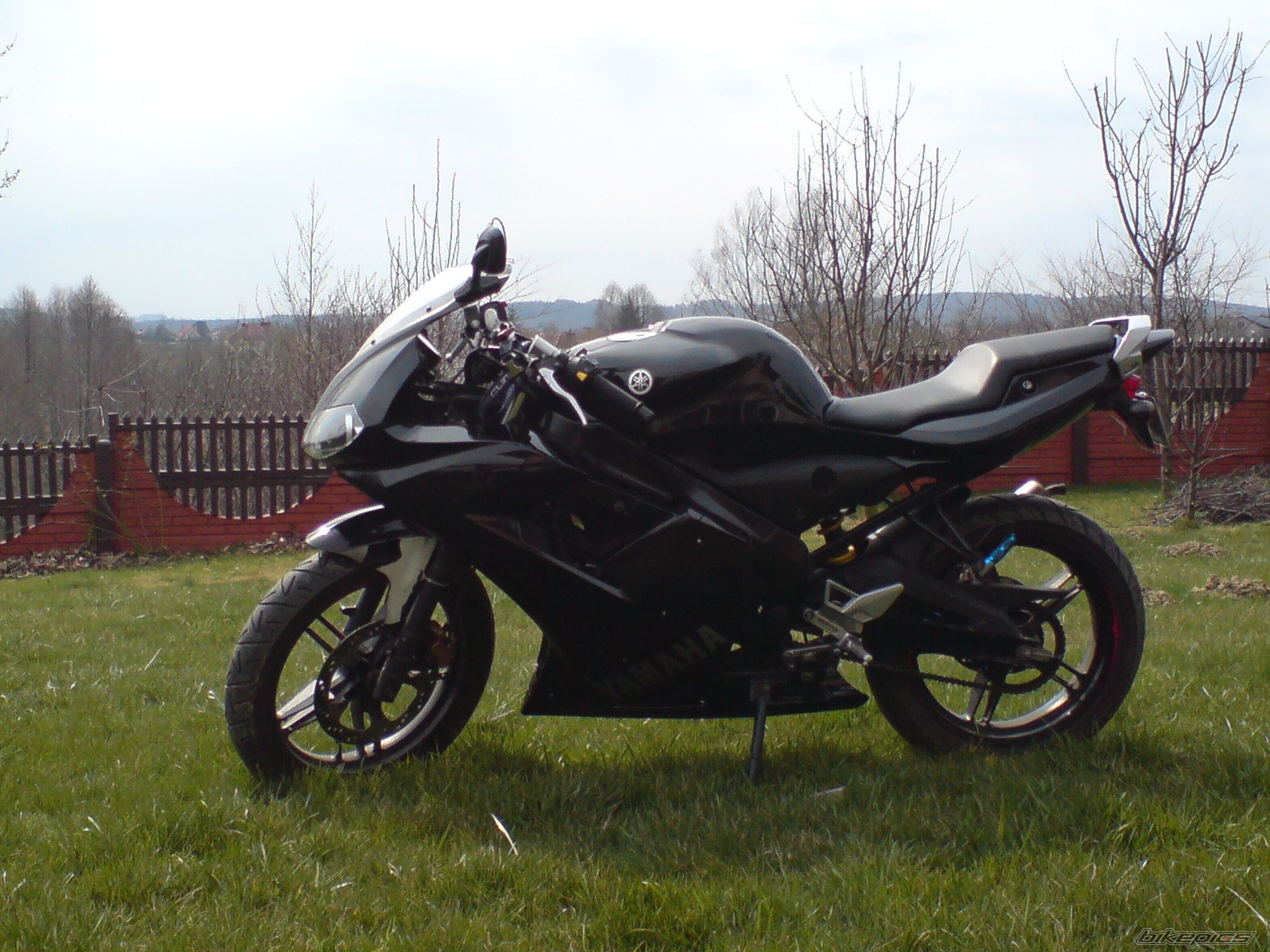 Photo 1233796