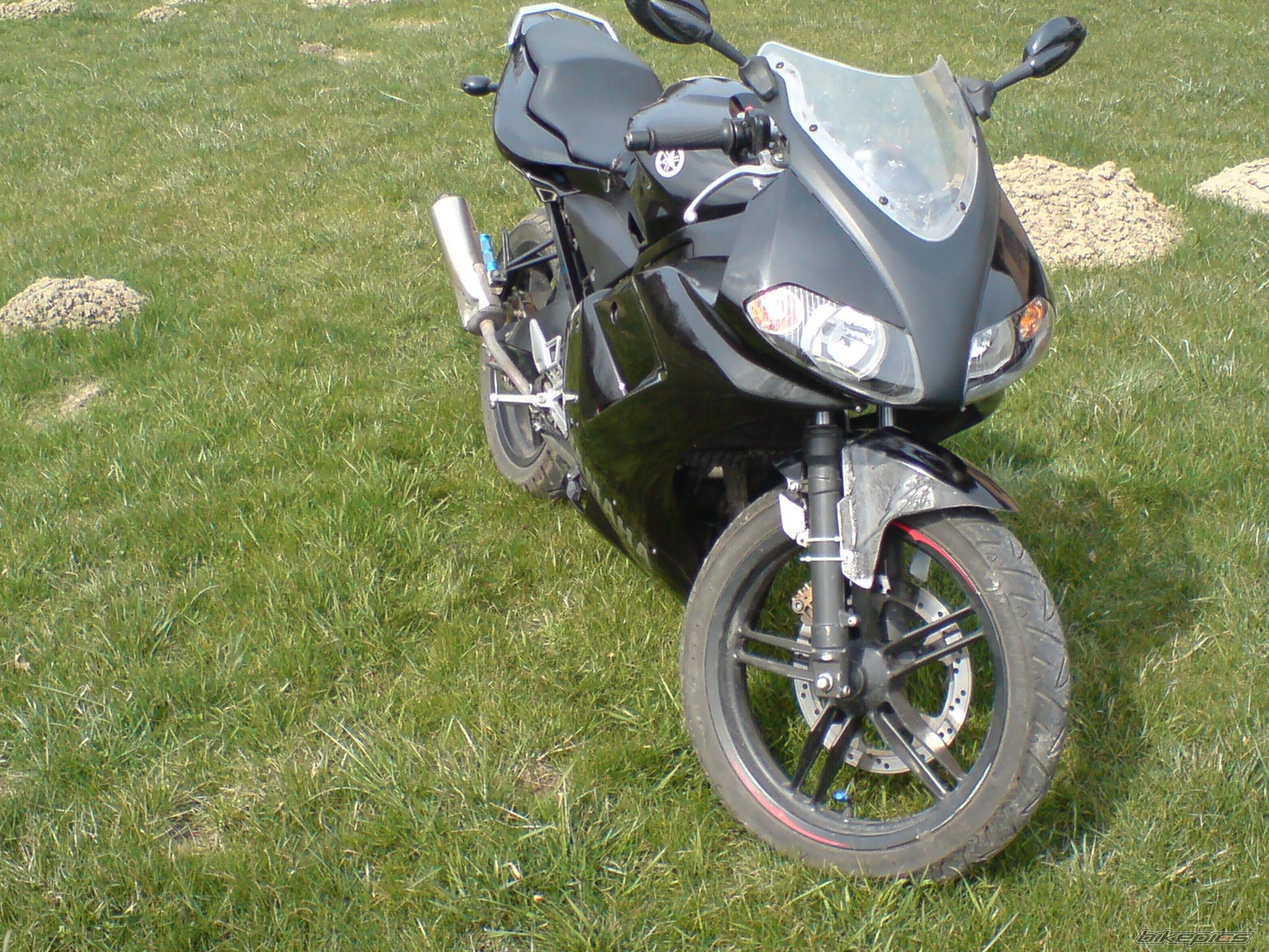 Photo 1233797