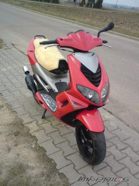 Photo 1233882