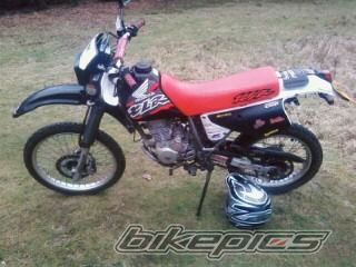 Photo 1233891