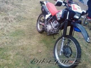Photo 1233893