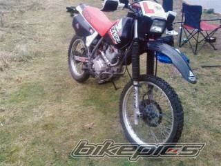 Photo 1233899