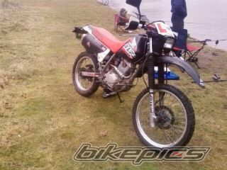 Photo 1233901