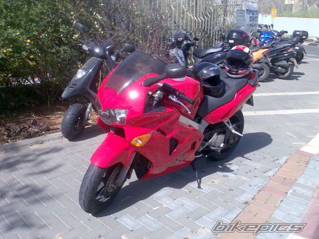 Photo 1233917