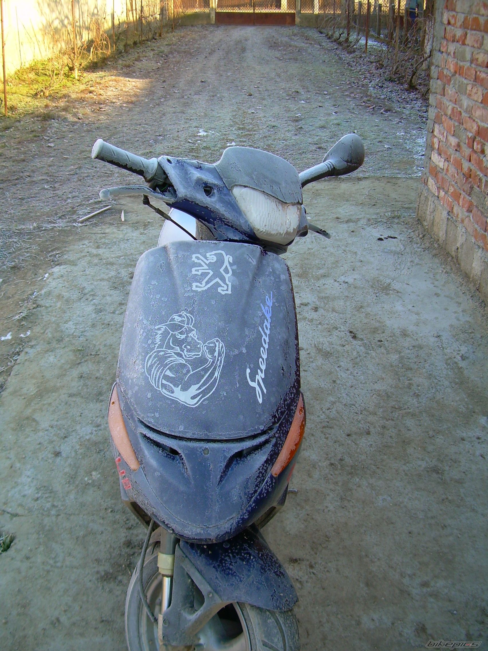 Photo 1233919