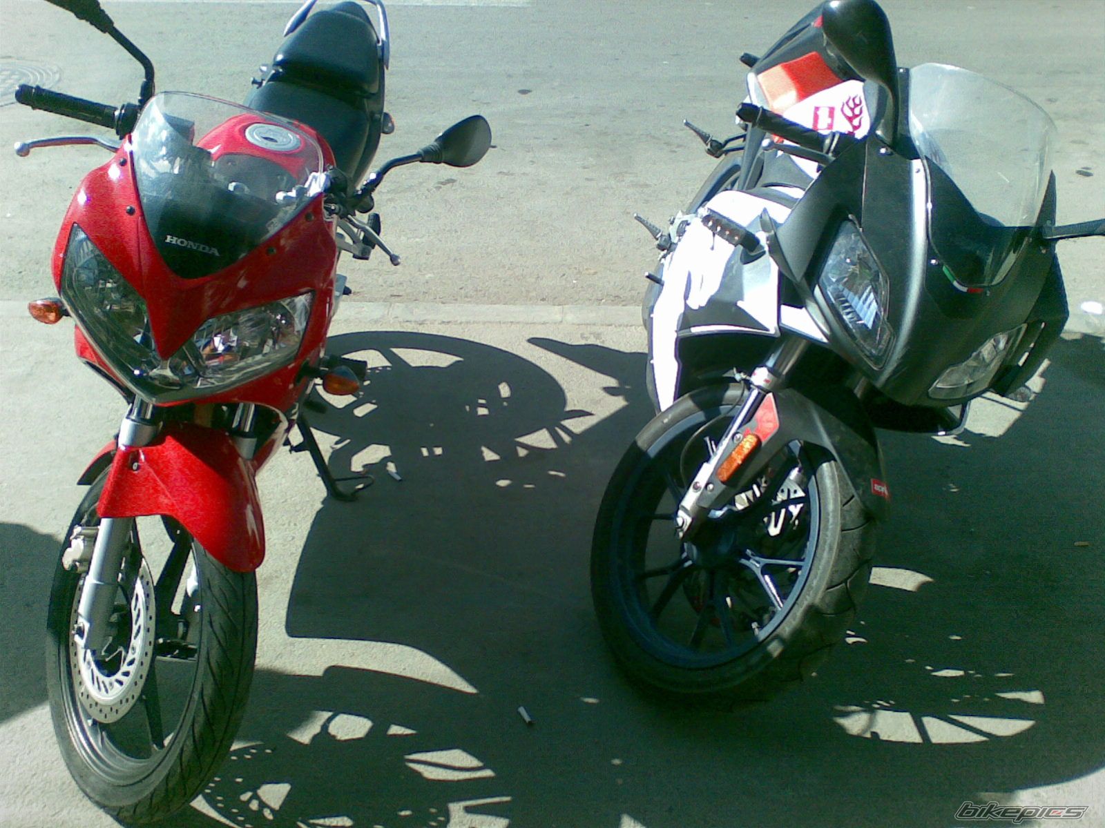 Photo 1233962