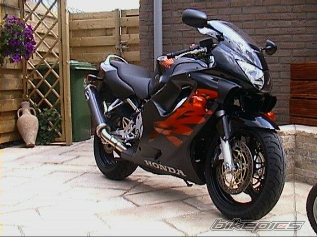 Photo 12340