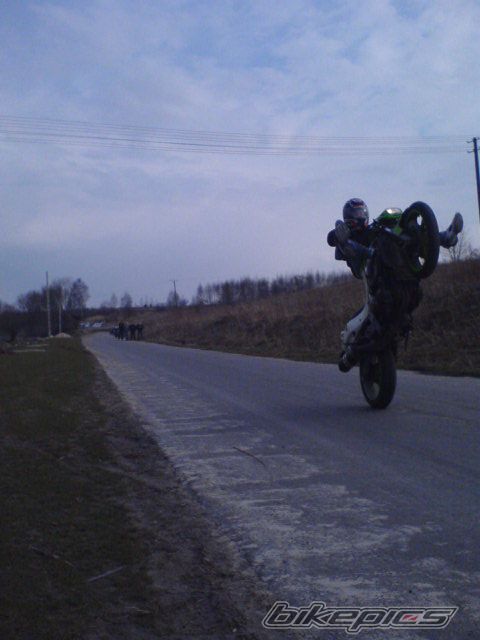 Photo 1234039